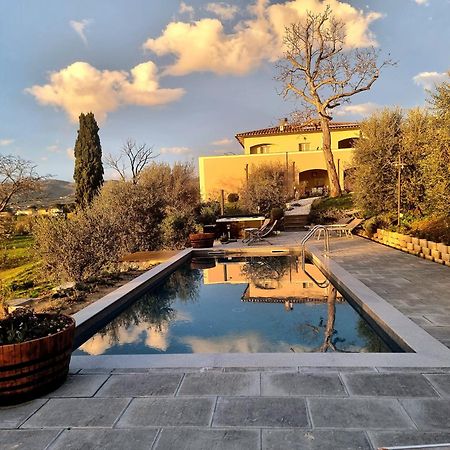 The Olive Grove In Tuscany Toiano Exterior foto